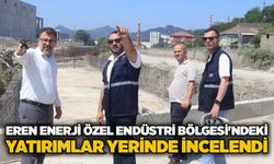 Eren Enerji Özel Endüstri Bölgesi'ndeki yatırımlar yerinde incelendi