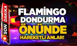 Flamingo Dondurma önünde hareketli anlar!
