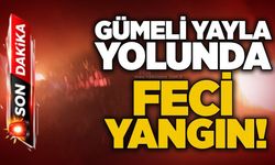 Gümeli yayla yolunda feci yangın!