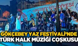 Gökçebey Yaz Festivali'nde Türk Halk Müziği konseri yoğun ilgi gördü