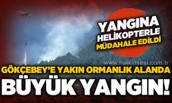 Gökçebey'e yakın ormanlık alanda yangın!
