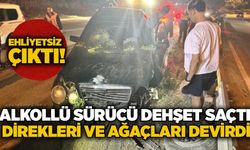 Alkollü sürücü dehşet saçtı: Direkleri ve ağaçları devirdi, ehliyetsiz çıktı!