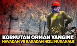 Korkutan orman yangını! Havadan ve karadan hızlı müdahale