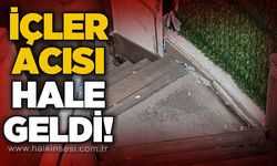 İçler acısı hale geldi!