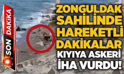 Zonguldak sahilinde hareketli dakikalar: Kıyıya askeri İHA vurdu!