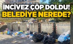 İncivez'de çöp isyanı: Kötü koku, fare ve sinekler mahalleliyi bezdirdi