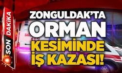 Zonguldak’ta orman kesiminde iş kazası!