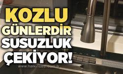 Kozlu günlerdir susuzluk çekiyor!