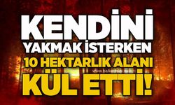 Kendini yakmak isterken 10 hektarlık alanı kül etti!