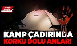 Kamp çadırında korku dolu anlar!