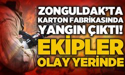 Zonguldak'ta karton fabrikasında yangın: Ekipler seferber oldu!
