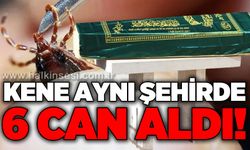 Kene aynı şehirde 6 can aldı!