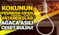 Kokunun peşinden giden vatandaşlar ağaca asılı ceset buldu!