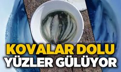 Kovalar dolu yüzler gülüyor