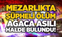 Mezarlıkta şüpheli ölüm: Ağaca asılı halde bulundu!