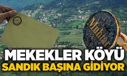 Mekekler Köyü sandık başına gidiyor