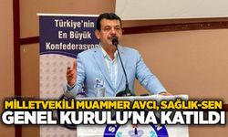 Milletvekili Muammer Avcı, Sağlık-Sen Genel Kurulu'na katıldı