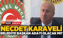 Necdet Karaveli Belediye Başkanı adayı olacak mı?