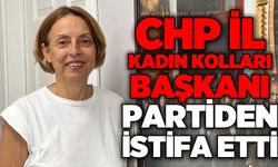 CHP Kadın Kolları Başkanı Nazan Sürücü Pulat istifa etti