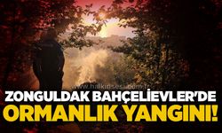 Zonguldak Bahçelievler'de ormanlık yangını!