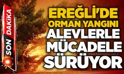Ereğli'de orman yangını: Alevlerle mücadele sürüyor