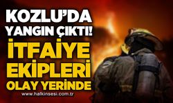 Kozlu'da anız yangını: İtfaiye ekipleri kontrol altına aldı