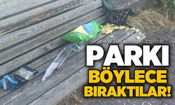 Karaelmas Mahallesi'nde parkı çöplüğe çevirdiler!
