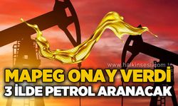 MAPEG onay verdi: 3 ilimizde petrol aranacak