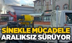 Sivrisinek ve haşerelere karşı ilaçlama çalışmaları sürüyor