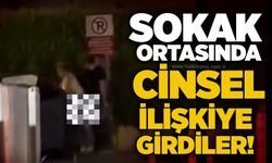 Sokak ortasında cinsel ilişkiye girdiler!