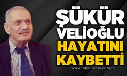 Şükür Velioğlu hayatını kaybetti