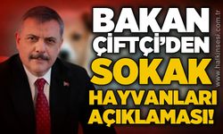 Bakan Mustafa Çiftçi'den sokak hayvanları açıklaması