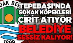 Tepebaşı Mahallesi'nde sokak hayvanı tepkisi: Uyarılara rağmen önlem alınmadı!
