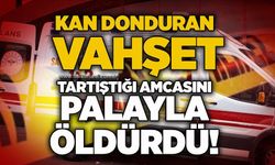 Kan donduran vahşet: Tartıştığı amcasını palayla öldürdü!