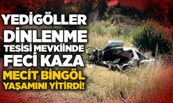 Yedigöller Dinlenme Tesisi mevkiinde feci kaza: Mecit Bingöl yaşamını yitirdi!