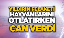 Yıldırım felaketi: Hayvanlarını otlatırken can verdi