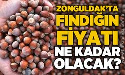 Fındık üreticisi TMO'nun açıklayacağı fiyatı bekliyor: "300 liranın altı üreticiyi memnun etmez"