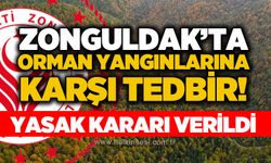 Zonguldak'ta orman yangınlarına karşı tedbir: Ateş ve mangal yasağı başladı