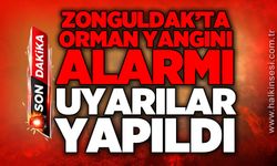 Zonguldak'ta orman yangını alarmı: Uyarılar yapıldı!