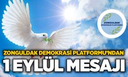 Zonguldak Demokrasi Platformu’ndan 1 Eylül Mesajı