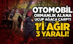 Otomobil ormanlık alana uçup ağaca çarptı: 1'i ağır, 3 yaralı!