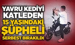 Yavru kediyi katleden 15 yaşındaki şüpheli serbest bırakıldı