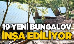 19 yeni bungalov yapılacak
