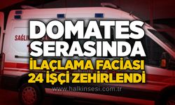 Domates serasında ilaçlama faciası: 24 işçi zehirlendi