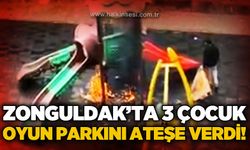 Zonguldak'ta çocuk parkında şaşkına çeviren olay: Kaydırağı ateşe verdiler