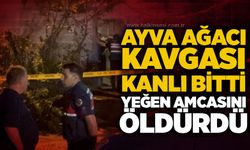 Ayva dalı tartışması kanlı bitti: Amcasını öldürdü