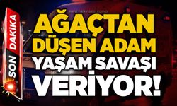 Ağaçtan düşen adam yaşam savaşı veriyor!