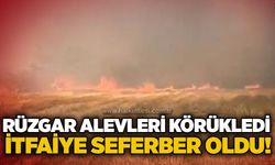 Rüzgar alevleri körükledi: İtfaiye seferber oldu!