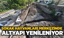 Sokak Hayvanları Merkezinde altyapı yenileniyor