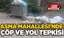 Asma Mahallesi’nde çöp ve yol tepkisi